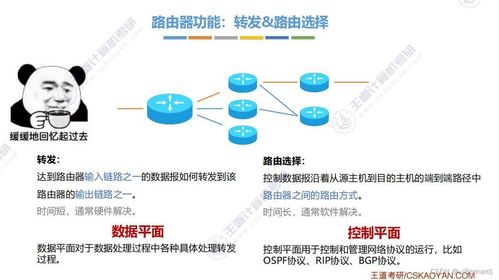 王道考研計(jì)算機(jī)網(wǎng)絡(luò)第四章知識(shí)點(diǎn)匯總 計(jì)算機(jī)網(wǎng)絡(luò)信息管理與服務(wù)
