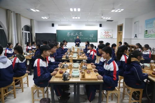 多彩課程，助力成長——圣卓選修課大閱兵之課程研發篇